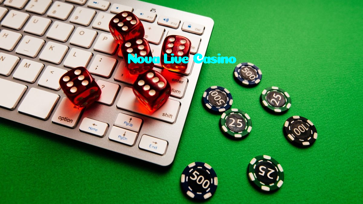 available types of Nova Live Casino bet including pre-match live express and system bets